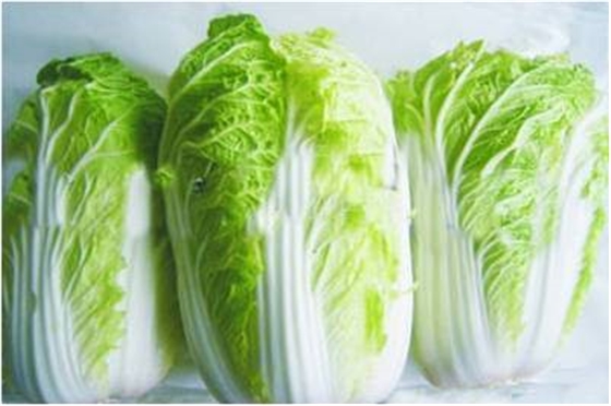 #微肥課堂#白菜類蔬菜對哪些營養(yǎng)元素敏感？