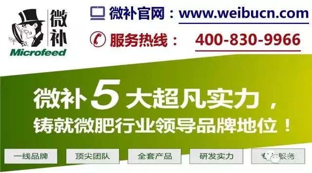 余教授奧地利鄉(xiāng)村行：萬科為什么說把奧地利小鎮(zhèn)搬回來？