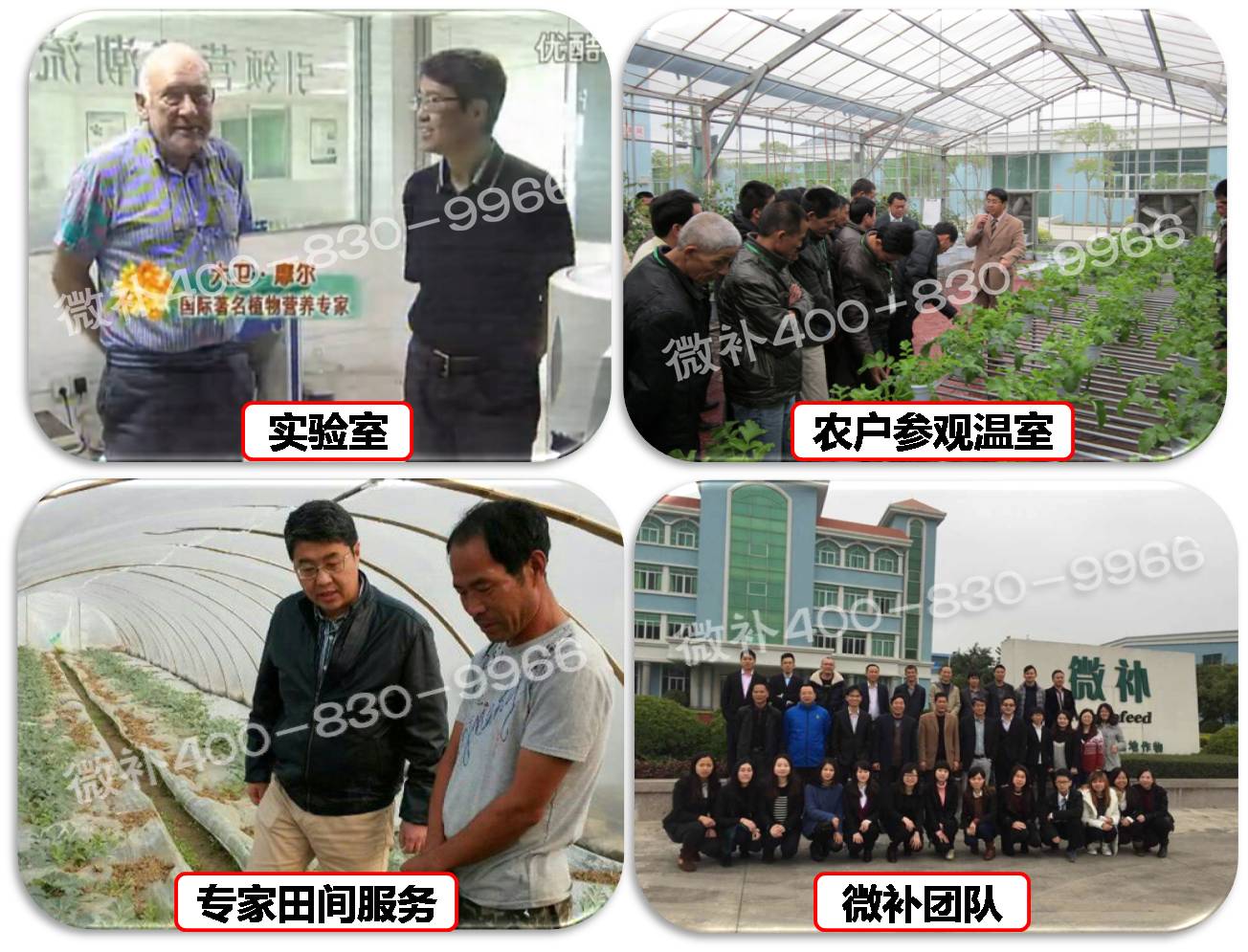 余教授奧地利維也納行：不懂音樂的農(nóng)民教授，在音樂之都的感受