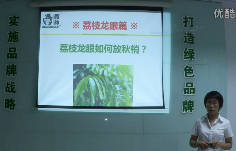 荔枝龍眼-采后樹弱、秋梢不壯怎么辦？請(qǐng)看微補(bǔ)講座