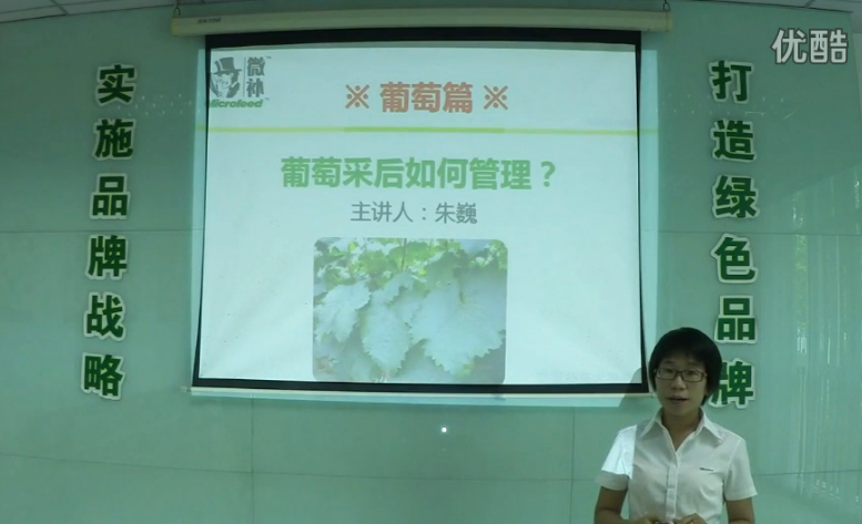 葡萄-采后恢復(fù)樹勢(shì)、來(lái)年花芽分化好.微補(bǔ)講座