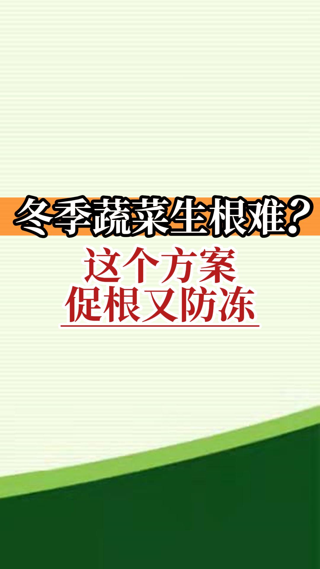 冬季蔬菜生根難？這個方案促根又防凍