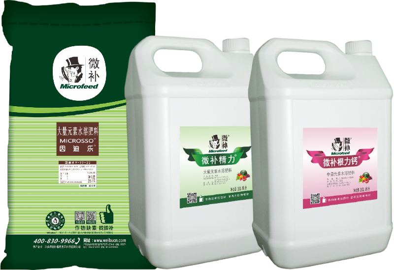 圖片2 圖片2