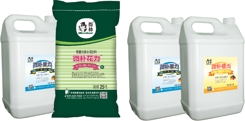 圖片3 圖片3