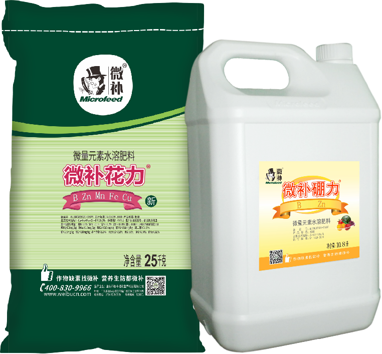 圖片4 圖片4