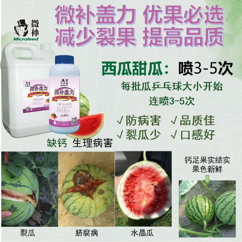 圖片2 圖片2
