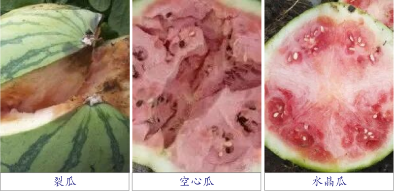 圖片1 圖片1