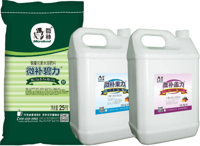 圖片2 圖片2