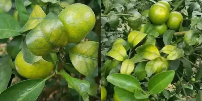 圖片1 圖片1