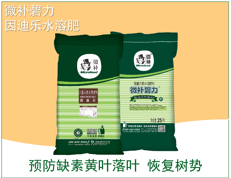 圖片5 圖片5