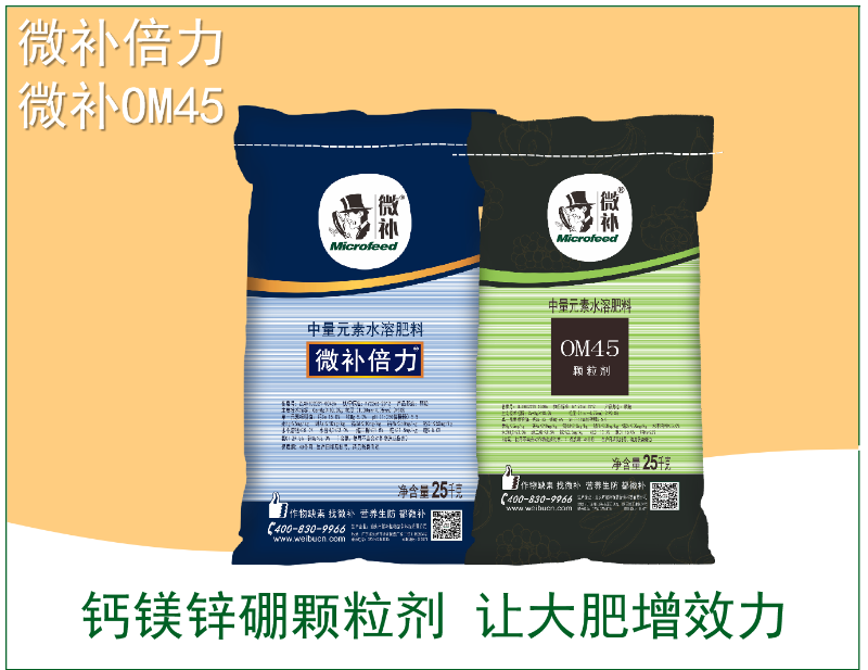 圖片3 圖片3