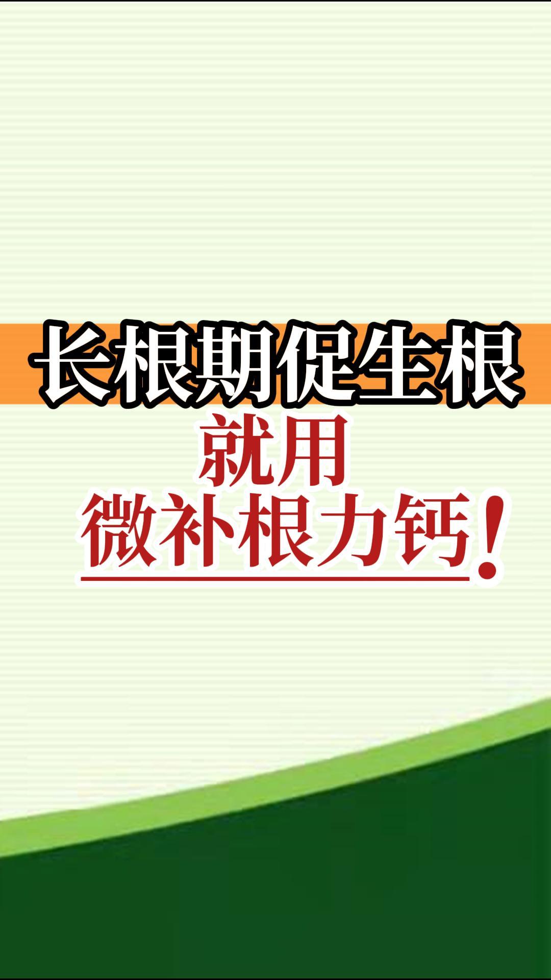 長根期促生根就用微補(bǔ)根力鈣！