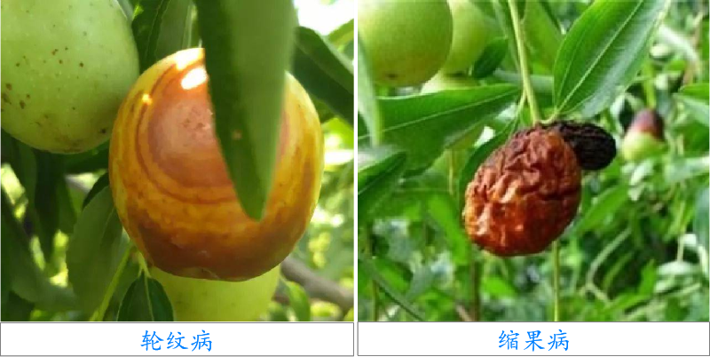 圖片3 圖片3