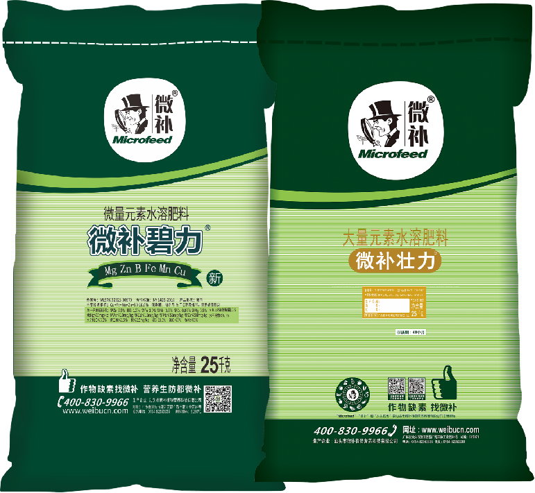 圖片5 圖片5