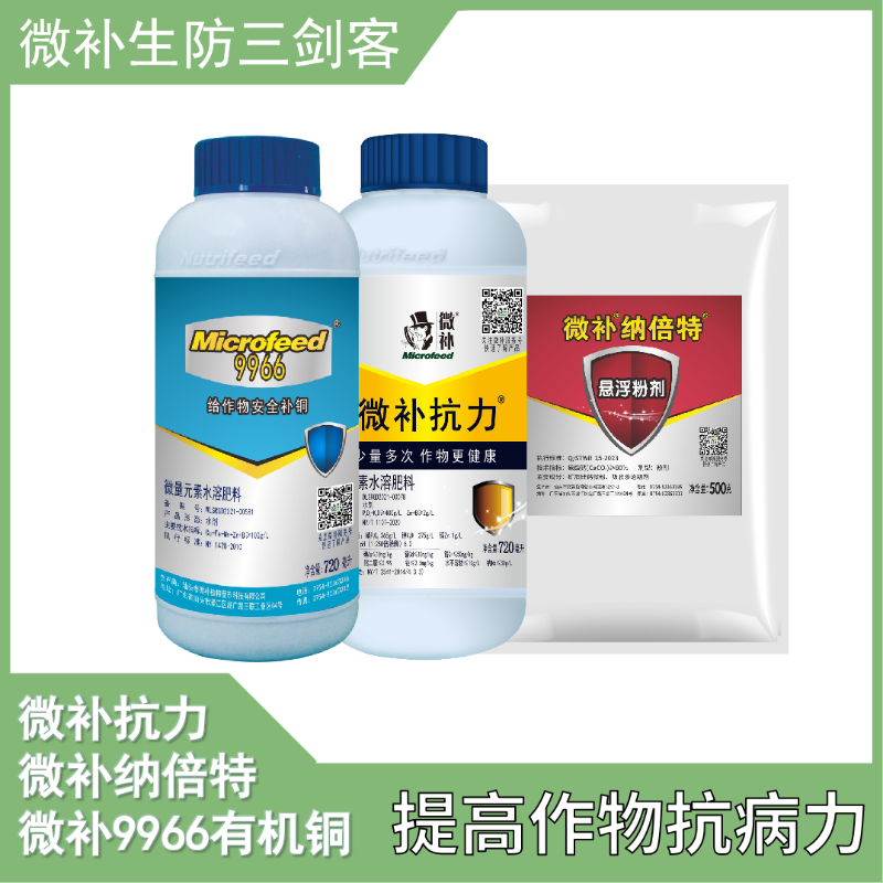 圖片7 圖片7