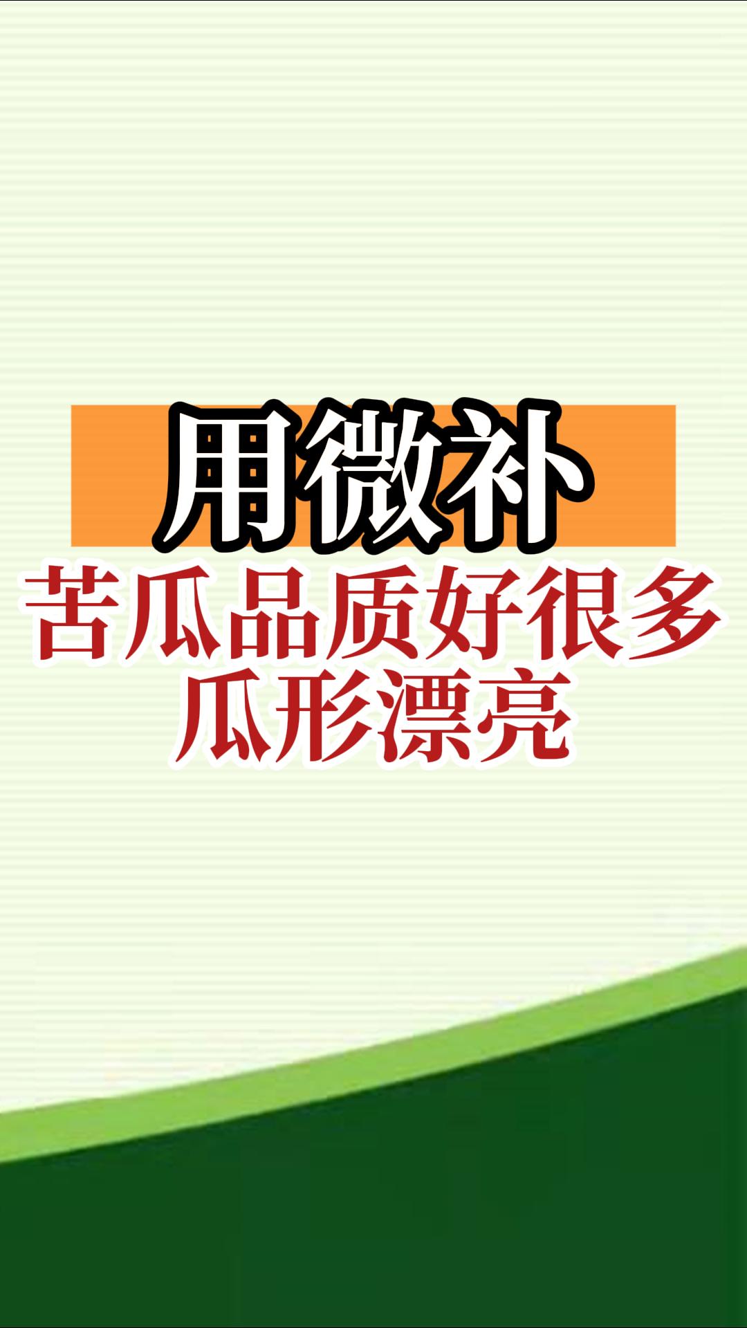 用微補，苦瓜品質好很多，瓜形漂亮