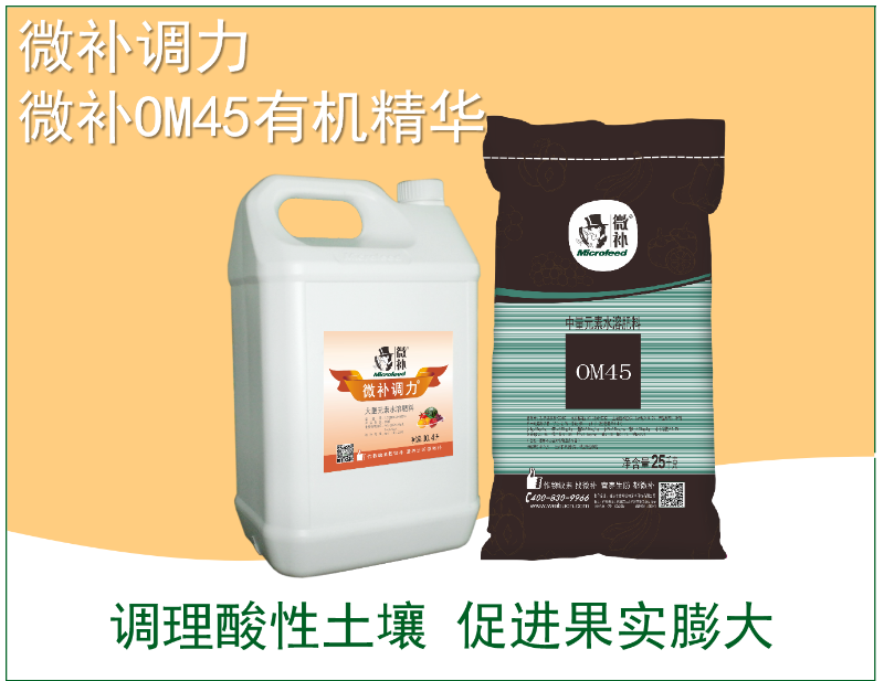 圖片3 圖片3