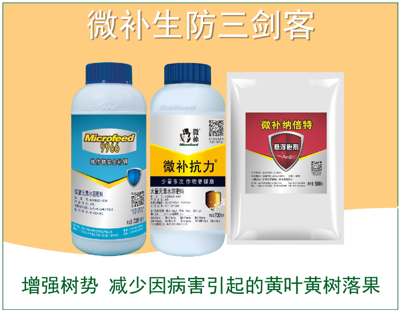 圖片5 圖片5