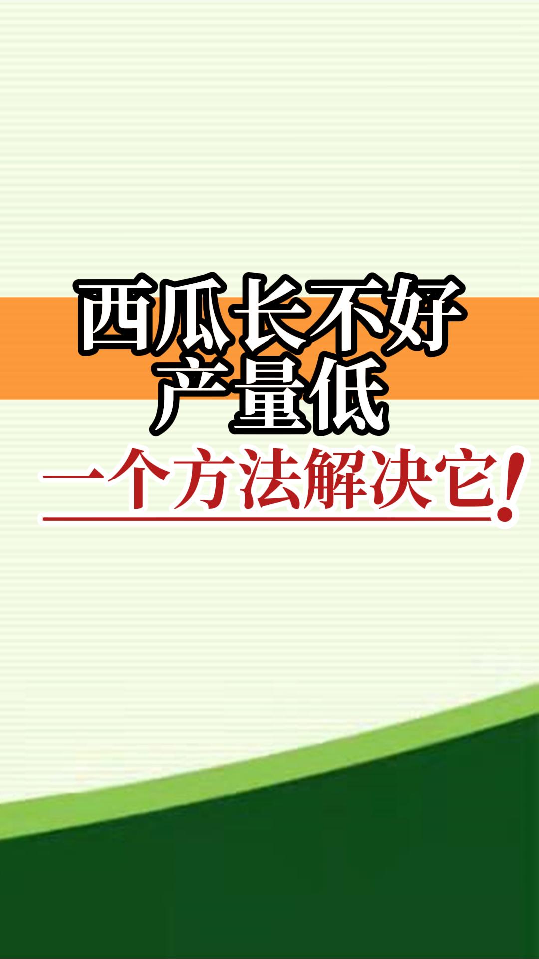 西瓜長不好產(chǎn)量低？