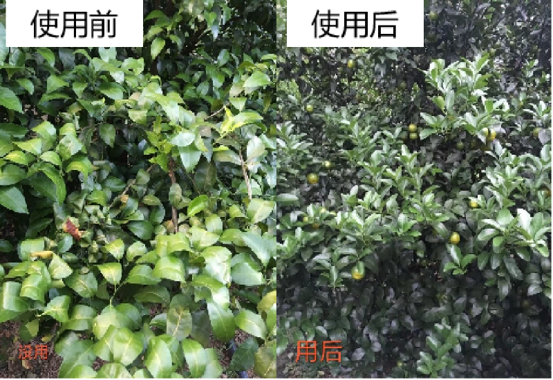 圖片1 圖片1