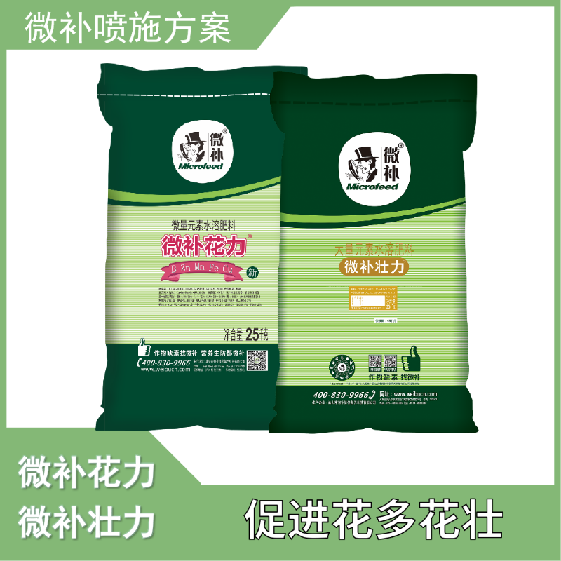圖片8 圖片8