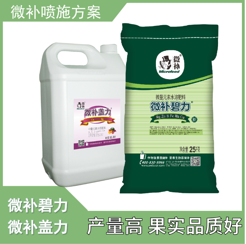 圖片9 圖片9