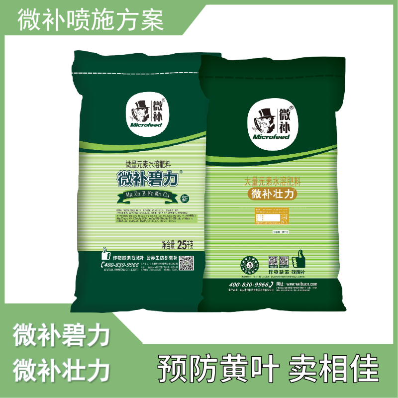 圖片10 圖片10