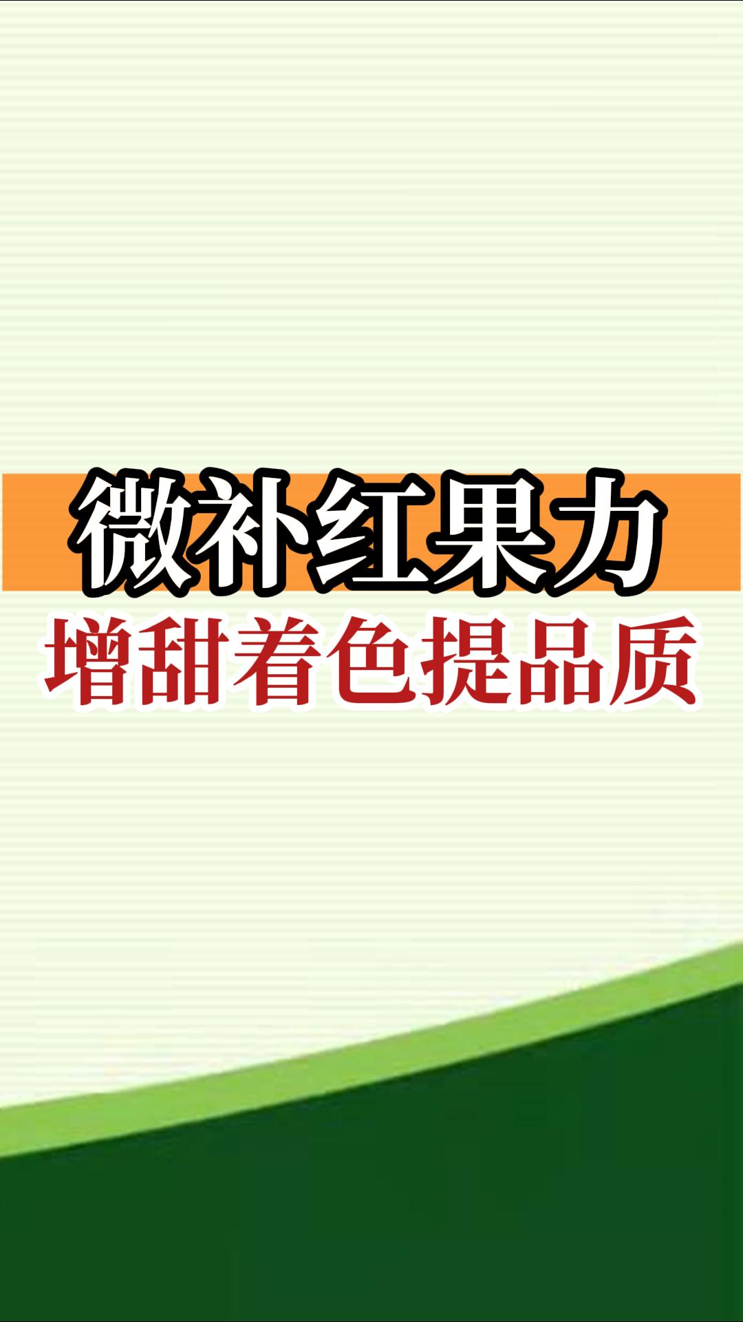 微補紅果力，<i style='color:red'>增甜</i>著色提品質(zhì)