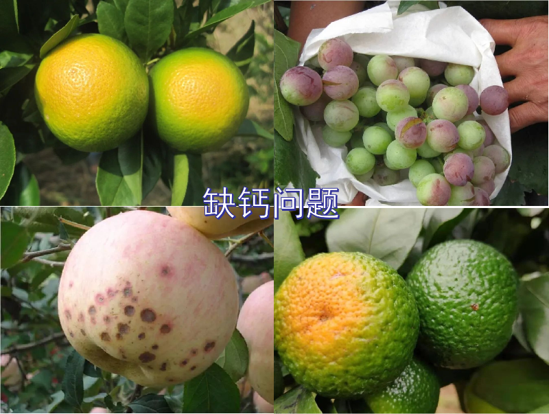 圖片1 圖片1