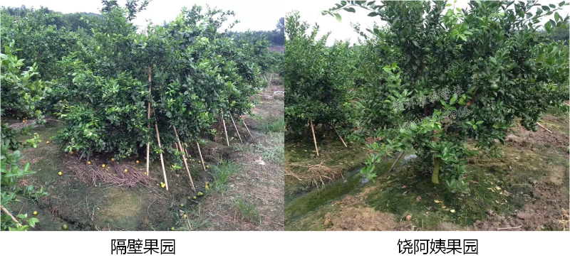 案例 (3) 案例 (3)