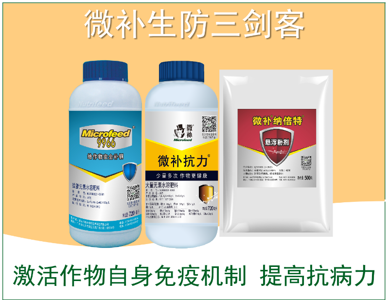 圖片1 圖片1
