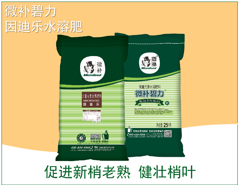 圖片3 圖片3