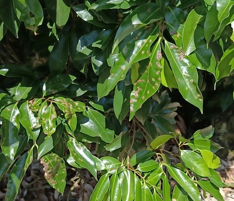 4 4