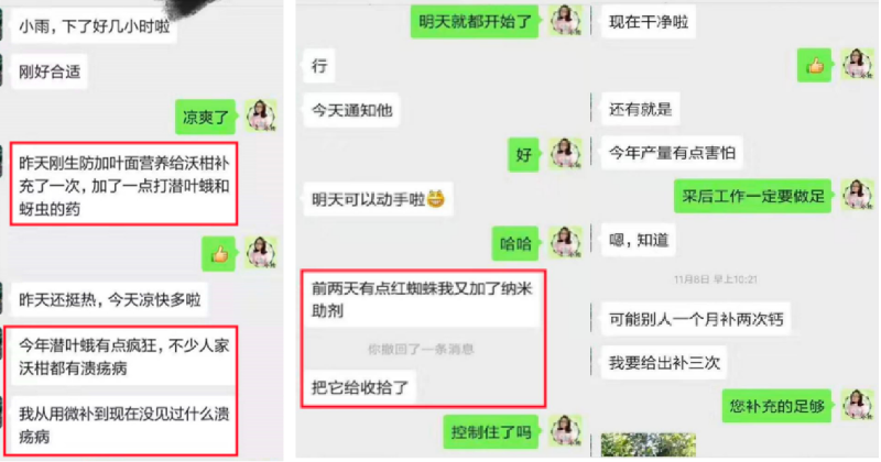 圖片1 圖片1