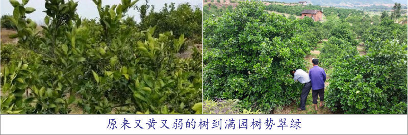 圖片2 圖片2
