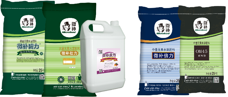 圖片3 圖片3