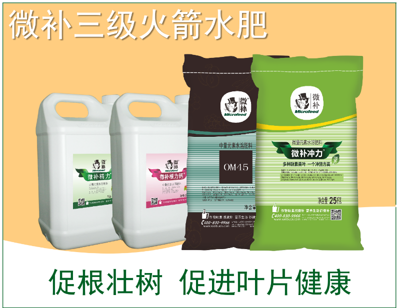 圖片3 圖片3