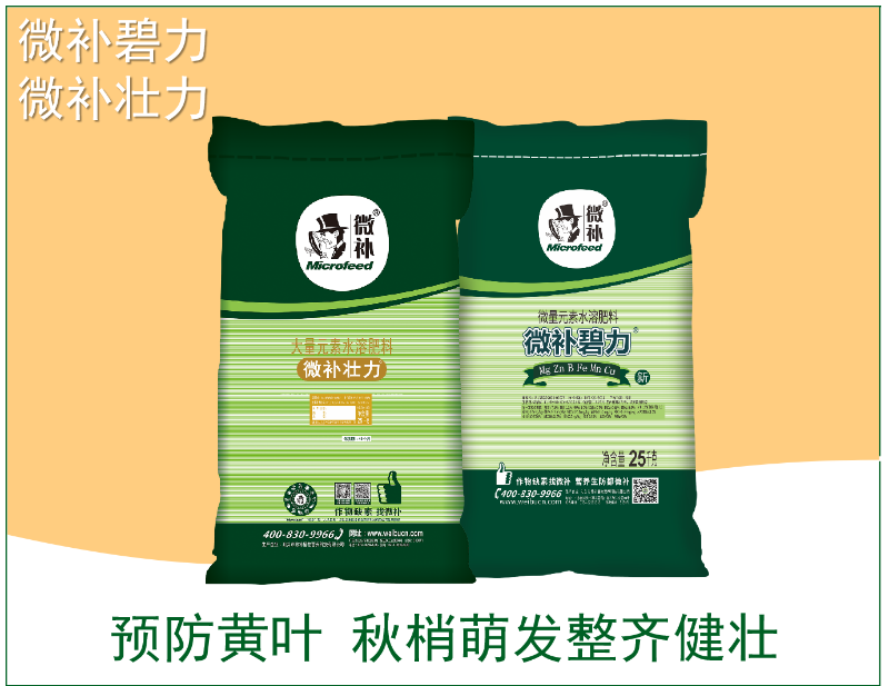 圖片4 圖片4