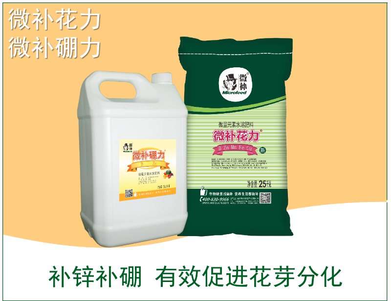 圖片5 圖片5