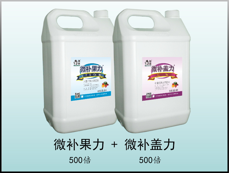 圖片2 圖片2