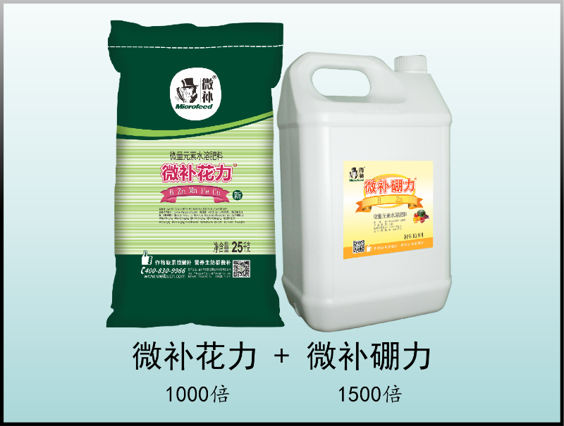 圖片3 圖片3