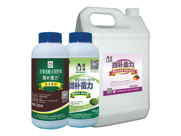 讓作物安全過(guò)冬的實(shí)用小妙招，速看