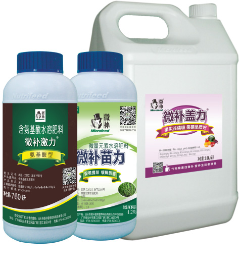 讓作物安全過冬的實用小妙招，速看