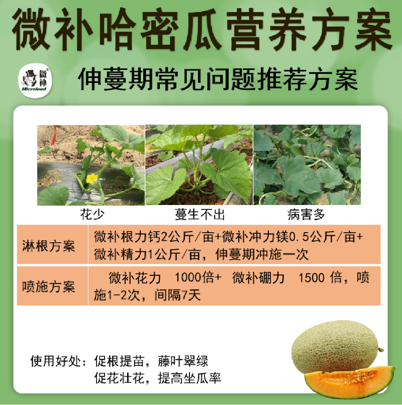 圖片3 圖片3