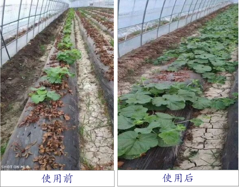 圖片4 圖片4