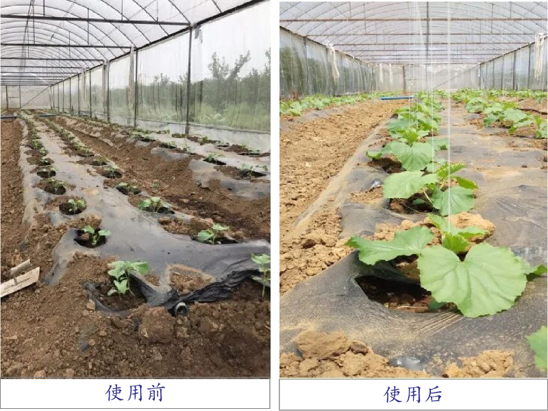 圖片3 圖片3