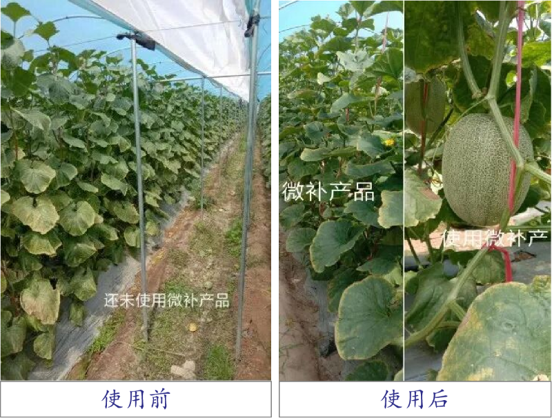 圖片5 圖片5