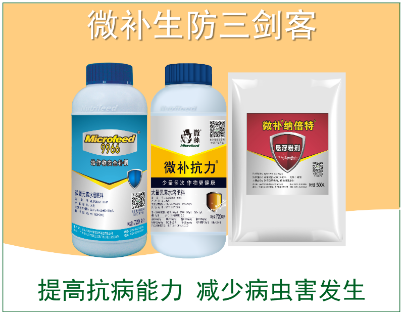 圖片1 圖片1