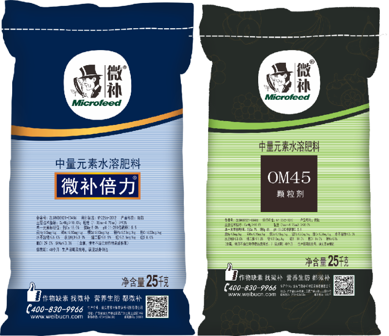圖片2 圖片2