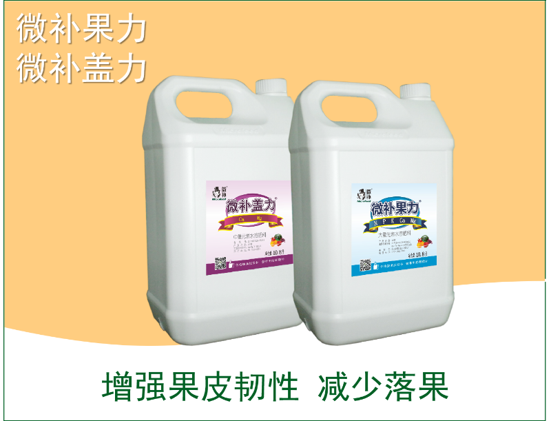 圖片3 圖片3